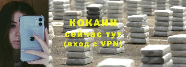 твердый Богородск