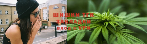 твердый Богданович
