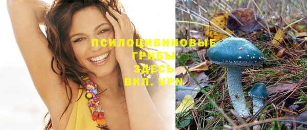 твердый Богданович
