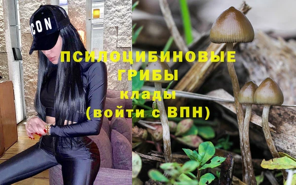 твердый Богородск