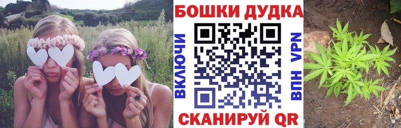 kraken ССЫЛКА  Киров  shop наркотические препараты  МАРИХУАНА SATIVA & INDICA 